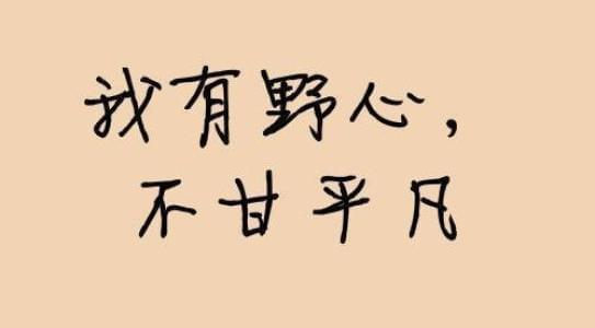 目前使用的APP主要分为以下几种