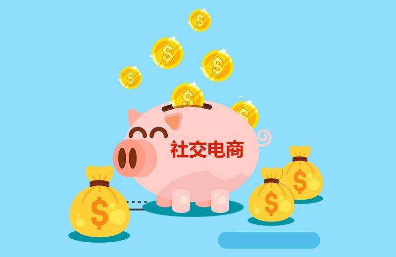 淘宝客共享app与定制版app优缺点